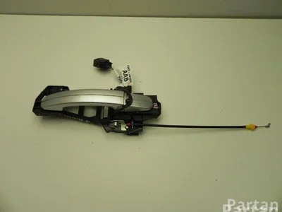 Ford DM51-R266B22-AC / DM51R266B22AC C-MAX II (DXA/CB7, DXA/CEU) 2014 Türgriff rechts hinten