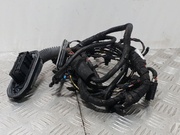 BMW 9262859 7 (F01, F02, F03, F04) 2014 Cables de salón