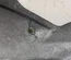 Aston Martin DB11 (AM5) 2019 Wing liner Left Front - Thumbnail 8