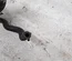 Volkswagen 5Q0121049 GOLF VII (5G1, BQ1, BE1, BE2) 2018 Pipe, coolant - Thumbnail 7