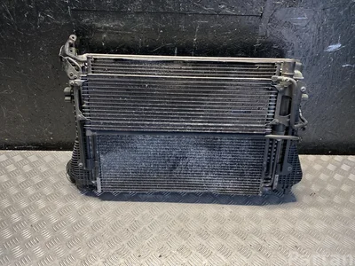 Volkswagen 5N0 820 411 C, 5N0 317 019 A, 5N0 121 253 F / 5N0820411C, 5N0317019A, 5N0121253F TIGUAN (5N_) 2009 Wasserkühler