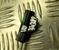 Ford AV41-12B591-DB / AV4112B591DB MONDEO V Turnier 2021 Lambda Sensor - Thumbnail 2