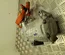 Opel 9831370080, 9831498480 Corsa F 2020 Compressor, air conditioning - Thumbnail 2