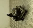 Volkswagen 2H6 614 517 B / 2H6614517B AMAROK Platform/Chassis (S1B) 2017 Control unit ABS Hydraulic - Thumbnail 1
