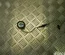 Mini 3422640 MINI (R56) 2008 Высокочастотный громкоговоритель - Thumbnail 3