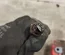 Maserati GRAN TURISMO 2008 Brake Caliper Left Rear - Thumbnail 5