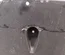Maserati 670003440 QUATTROPORTE VI 2014 Engine under tray - Thumbnail 5