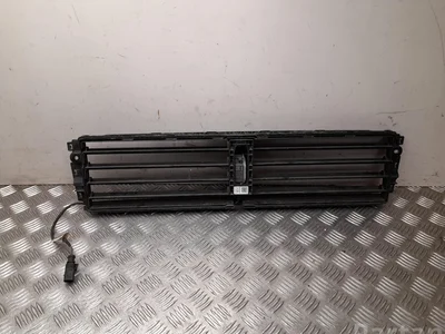 Škoda 5E0 122 321 G / 5E0122321G OCTAVIA III (5E3) 2015 Radiator trim
