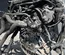 Volkswagen CUK, CUKC, 04E100034N, 04E100034NX PASSAT Variant (3G5) 2017 Complete Engine - Thumbnail 4