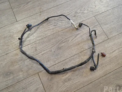 Volkswagen 5Q0971230LP PASSAT (3G2) 2020 Harness