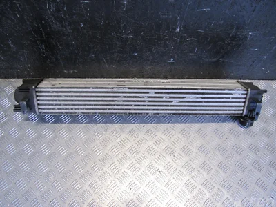 Renault 144960006R SCÉNIC III (JZ0/1_) 2010 Intercooler