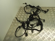 BMW 5A05D03 X3 (G01) 2022 Engine harness