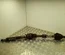 Ford F1F6-3B436-AA / F1F63B436AA C-MAX II (DXA/CB7, DXA/CEU) 2012 Drive Shaft Right Front - Thumbnail 1