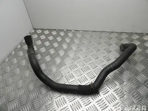 Ford 8V618286 FOCUS III Turnier 2011 Radiator Hose