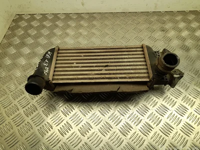 Ford 878350000 KA (RB_) 2006 Intercooler