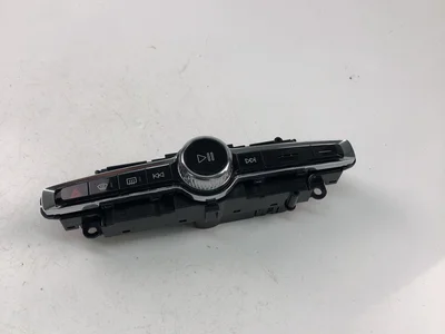 Volvo P31398845 V90 II 2019 Valdymo blokas, automatinis kondicionieriaus valdymas