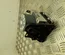 Volkswagen 5Q0614517DL TIGUAN (AD1) 2020 Control unit ABS Hydraulic - Thumbnail 2