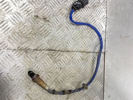 Porsche 7P5906262A CAYENNE (92A) 2011 Lambda Sensor