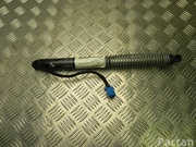 BMW 7357110 7 (G11, G12) 2015 Gas Spring