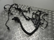 BMW 8672131 X1 (F48) 2018 Engine harness