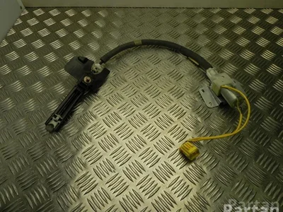 Volkswagen 3D0 857 819 G / 3D0857819G PHAETON (3D_) 2003 Safety Belt System