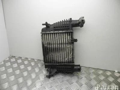 Renault 8200471885 CLIO III (BR0/1, CR0/1) 2007 Intercooler
