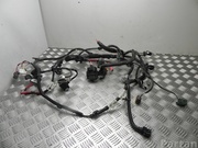 RENAULT 240114575R ZOE (BFM_) 2013 Harness