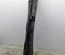 Mazda DB2P53500 CX-3 (DK) 2016 Wiper Trim - Thumbnail 2