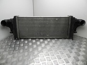 MERCEDES-BENZ A 164 500 19 00 / A1645001900 M-CLASS (W164) 2006 Intercooler